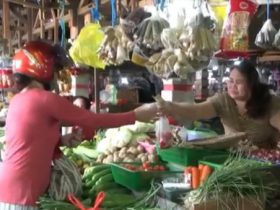 harga kebutuhan pokok