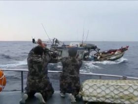 Curi Ikan, 19 Kapal Ditangkap dalam Sepekan