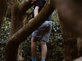 Kaleng Bekas Lem Berserakan di Taman Sekayam, Ini Dugaannya