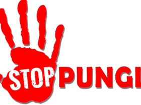 Pungli di Pontianak? Laporkan Lewat Website Ini