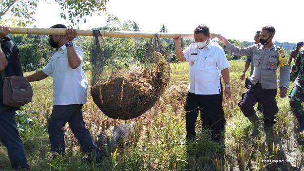 Petani Desa Semabi Garap 300 Hektar Sawah