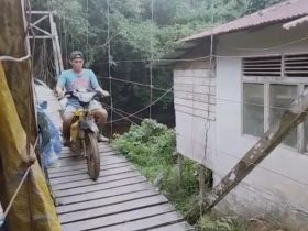 Harga Karet Naik, Daya Tampung Pengepul Meningkat 50 Persen