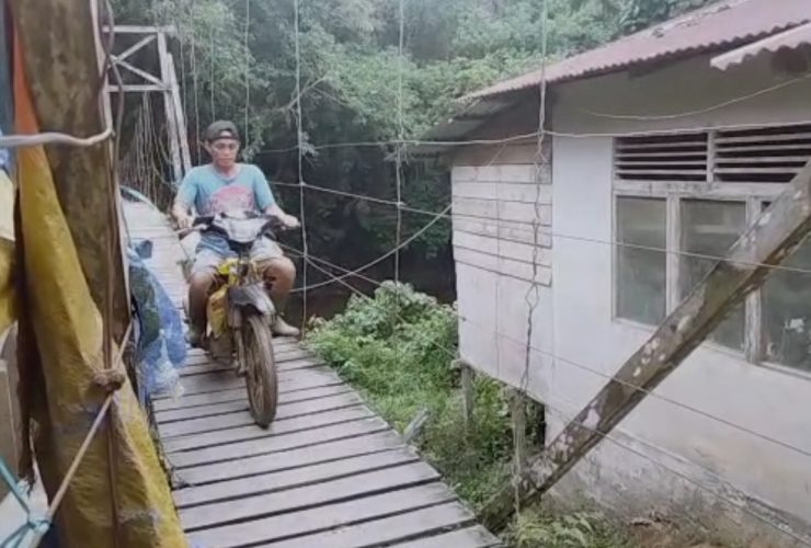 Harga Karet Naik, Daya Tampung Pengepul Meningkat 50 Persen