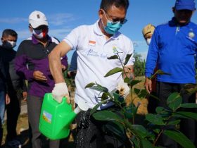 Hutan Kota, Pontianak Tanami 680 Pohon di Pembuangan Sampah