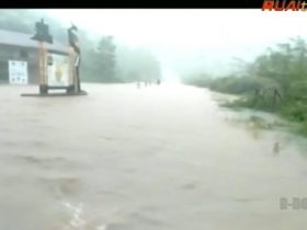 Tonton di Sini: Banjir di Kayong Utara