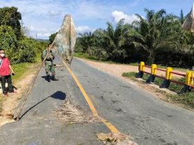 Rawan Longsor, Jembatan Penghubung Menjalin-Bengkayang