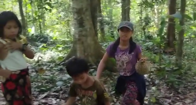 Musim Buah, Menunggu Durian Jatuh dari Pondok di Hutan