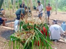 Tonton di Sini: Warga Mondi Adakan Ritual Tolak Bala