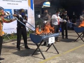 Ketapang Musnahkan Satu Juta Batang Rokok Ilegal Senilai Rp 500 Juta
