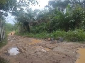 jalan di Kalimantan rusak
