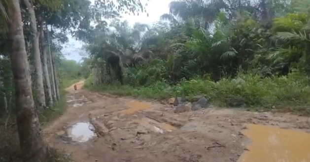 jalan di Kalimantan rusak