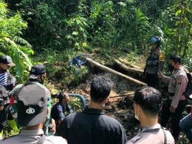 penambangan emas tanpa izin (PETI)