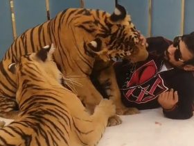 Sangar! Koleksi Satwa Langka Ini Bisa Dibelai