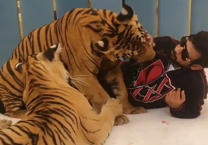 Sangar! Koleksi Satwa Langka Ini Bisa Dibelai