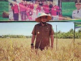 Subah Jadi Kebun Raya, Wabup Minta Perusahaan Bantu Bangun Jalan