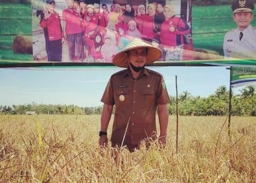 Subah Jadi Kebun Raya, Wabup Minta Perusahaan Bantu Bangun Jalan