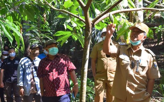 Program RUAI SMS, Selintas Kenangan Alm Sudiyanto