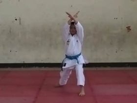 Kejuaraan Karate Secara Virtual di Pontianak, Ini Para Pemenangnya