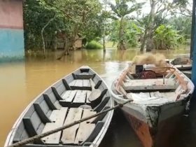 Sungai Landak Meluap, Warga Tambat Perahu di Tiang Rumah