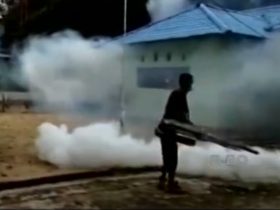 Waspada! Fogging Mengatasnamakan Dinas Kesehatan