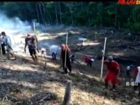 ladang tradisional Dayak_ruai.tv