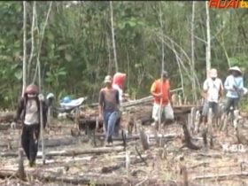 menugal ladang_ruai.tv