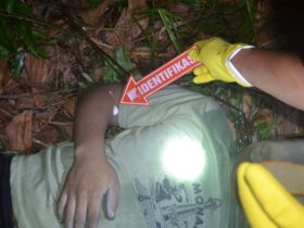 Depresi Sakit Tak Kunjung Sembuh, Pria Ini Minum Racun Rumput