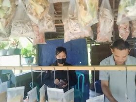 Hasil Laut dan Kerajinan Bengkayang Bisa Jadi Daya Tarik UMKM