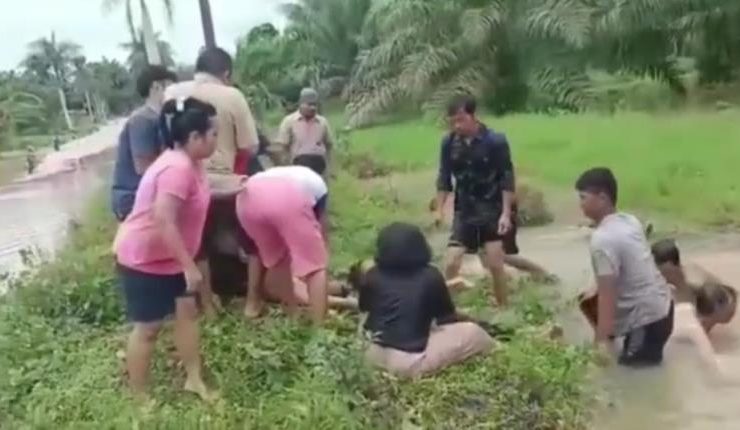 tenggelam di parit PTPN Ngabang_ruai.tv