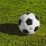 sepakbola