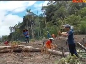 tradisi menugal di ladang_ruai.tv