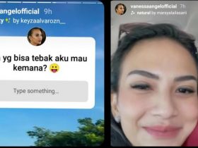 insta story vanessa angel