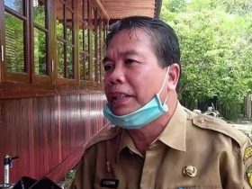 Stok Beras di Sintang, Begini Kabarnya