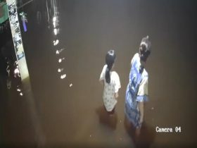 benarkah buaya muncul di lokasi banjir_ruai.tv