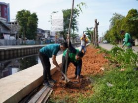hari pohon sedunia di Pontianak_ruai.tv