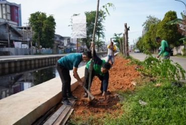 hari pohon sedunia di Pontianak_ruai.tv