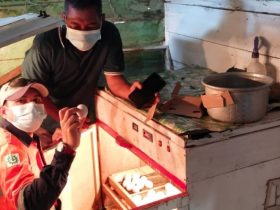 Warga Simpang Hilir Budidaya 1000 Ekor Bebek Petelur