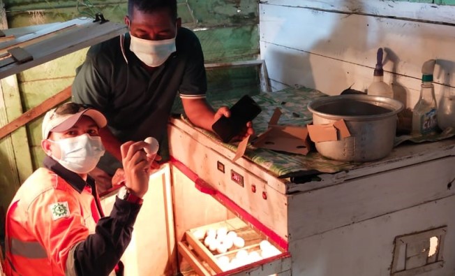 Warga Simpang Hilir Budidaya 1000 Ekor Bebek Petelur