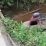 Mobil Terjun ke Sungai di Simpang Bunut Hulu