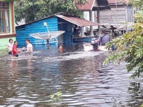 Mensos Risma akan tinjau banjir sekadau