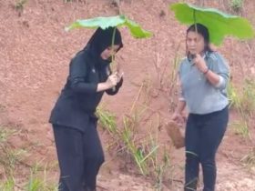 Relawan Berpayung Daun, Terobos Banjir di Sekadau