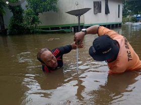 3 Kecamatan di Ketapang Kena Banjir, Rute ke Pontianak Lewat Jalur Alternatif