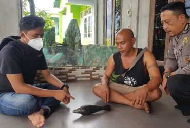 Warga Temukan Mortir di Tepian Sungai Pinoh - RUAI.TV