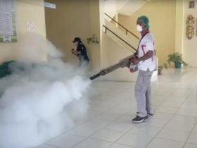 Demam Berdarah di Bengkayang, Satu Meninggal Dunia