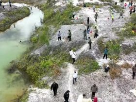 Presiden tanam durian di lokasi PETI Sintang