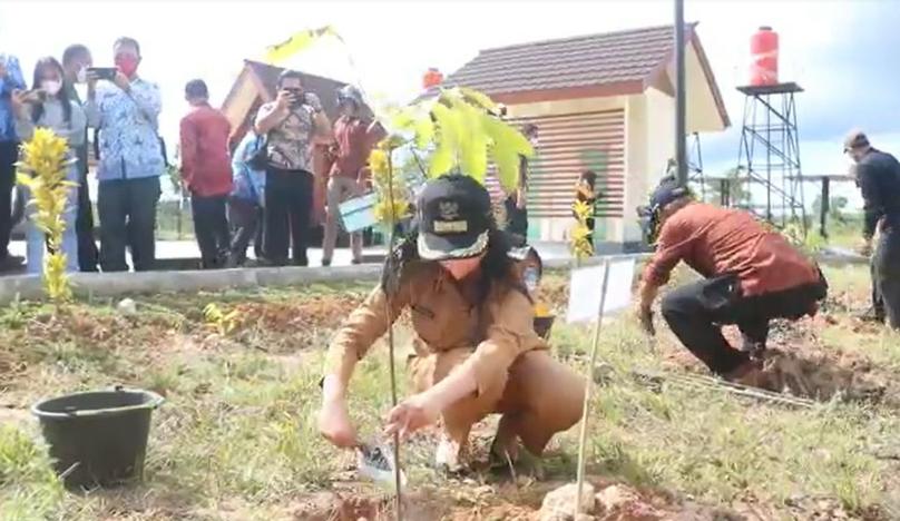 Landak Ubah Bekas Areal PETI jadi Taman