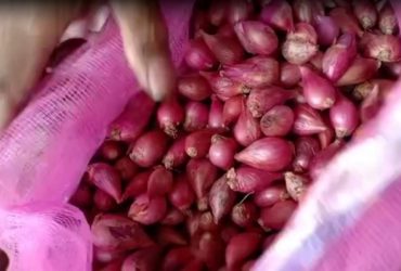 Harga Bawang Merah di Sekadau Naik