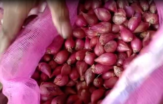 Harga Bawang Merah di Sekadau Naik