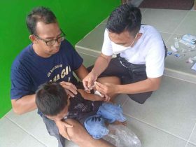 7 Warga Sekadau Hilir Jadi Korban Gigitan Anjing