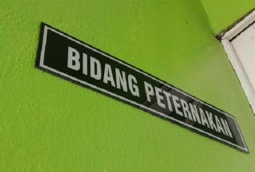 flu babi di Kapuas Hulu menjadi perhatian bidang peterbakan setempat